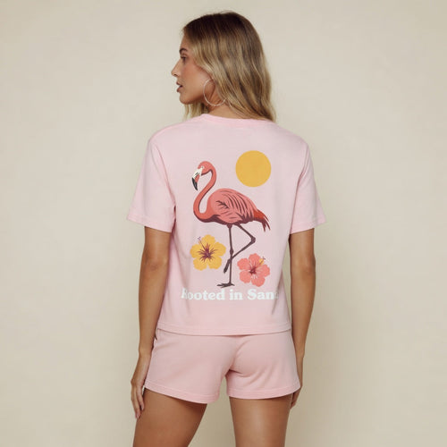 Women’s Clothing
